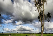 剑灵私服：荣耀之战，传奇再起