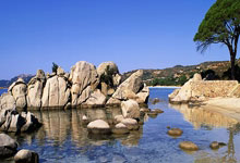 剑灵私服中的独门绝技，助你称霸修仙之路